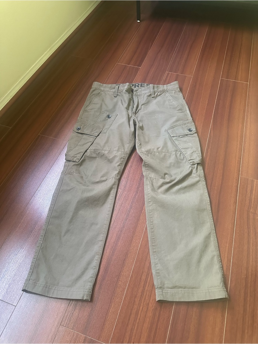 Express Men's Cargo Pants in Olive